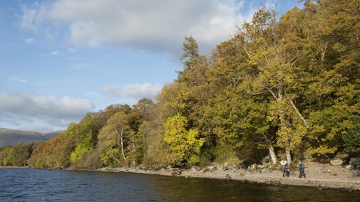 Two visitors walking on the shore at Derwent Water with the lake on their left and trees on their right, Lake District